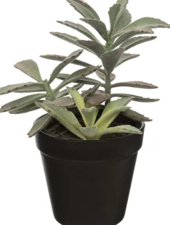 New Kunstpflanze Sukkulente grün 23 cm Kunstpflanzen
