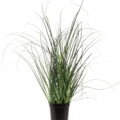 Online Kunstpflanze Ziergras D 17 cm H 32 cm Kunstpflanzen