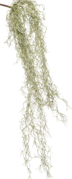 Kunstzweig Tillandsie H 74 cm Künstliche Deko-Zweige