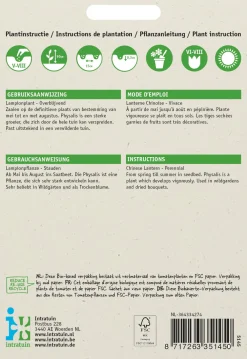 Best Lampionpflanze (Physalis alkekengi) Blumensamen Winterharte Pflanzen|Blühende Pflanzen