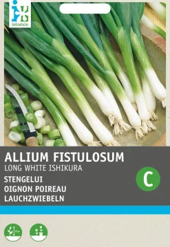 Online Lauchzwiebel (Allium fistulosum 'Ishikura') Samen Gemüsesamen|Saatgut