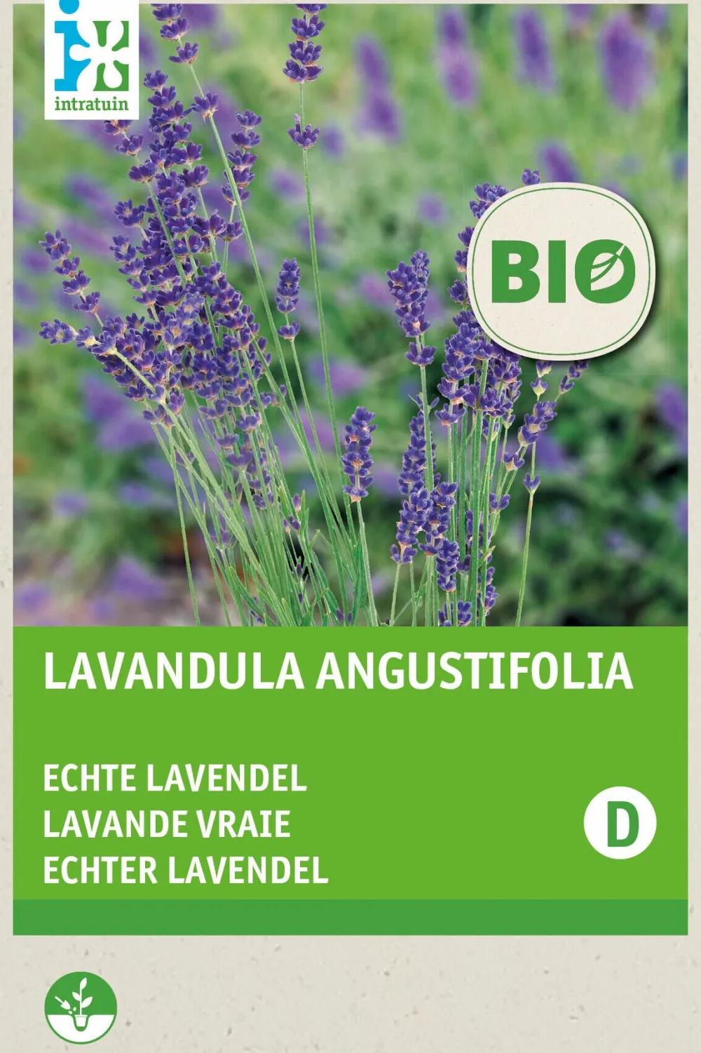 Sale Lavendel (Lavendula angustifolia) (BIO) Blumensamen Saatgut|Blühende Pflanzen