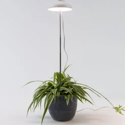 Online LED Pflanzenlampe weiß D 11 H 22 cm Pflanzenlampen