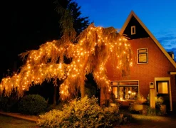 Online Lichterkette Connect de Luxe mit 100 LEDs 10 m classic weiß Weihnachtsbaumbeleuchtung