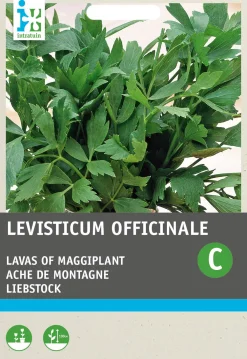 Best Liebstöckel / Maggikraut (Levisticum officinalis) Samen Kräutersamen|Saatgut