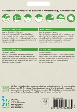Best Liebstöckel / Maggikraut (Levisticum officinalis) Samen Kräutersamen|Saatgut