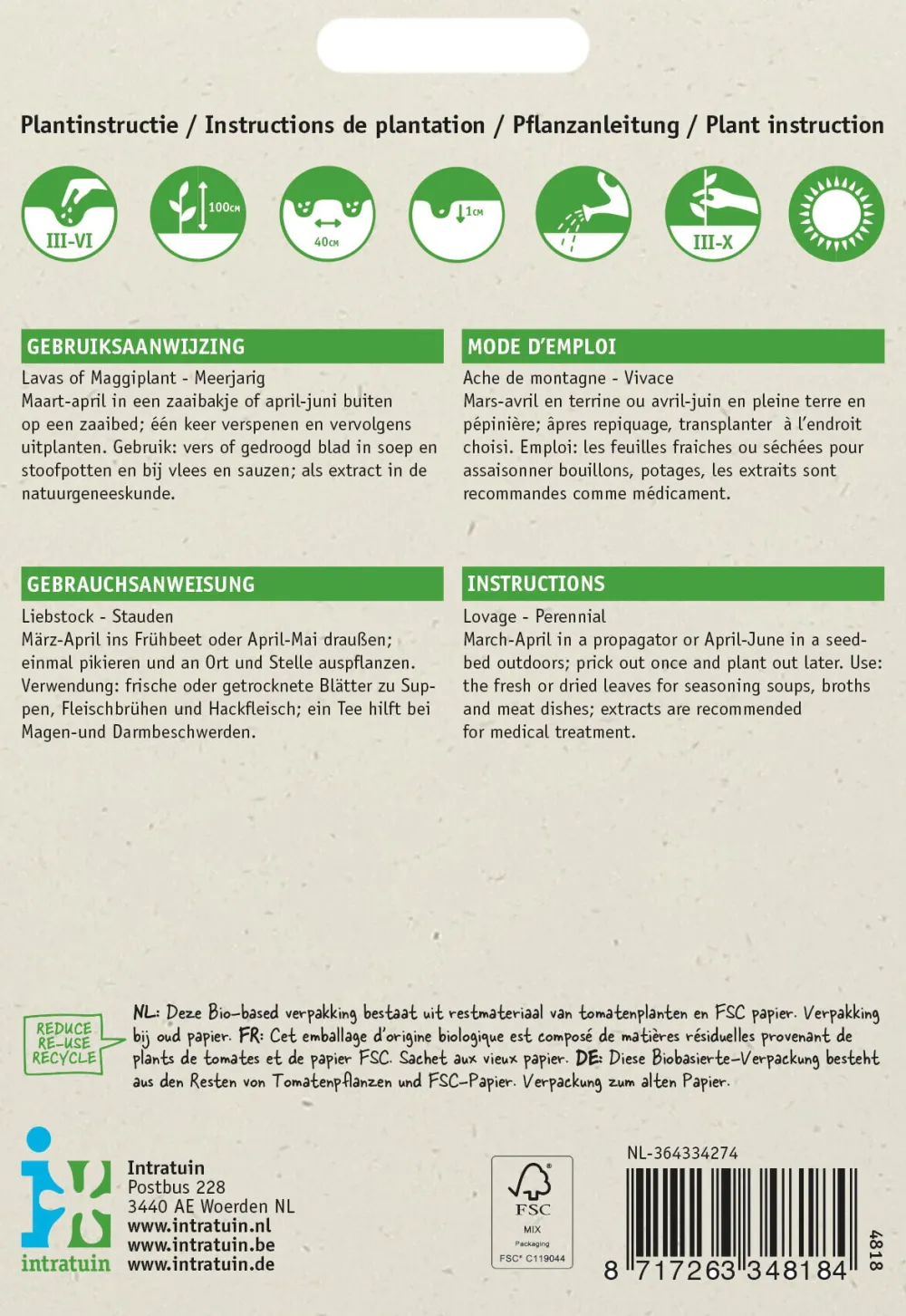 Best Liebstöckel / Maggikraut (Levisticum officinalis) Samen Kräutersamen|Saatgut