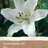 Sale Lilie weiß (Lilium oriental) (BIO) Blumenzwiebel 1 St. Sommer-Blüher|Blumenzwiebeln