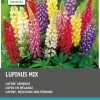 Clearance Lupine (Lupinus) Blumenzwiebel-Mischung 10 St. Sommer-Blüher|Blumenzwiebeln