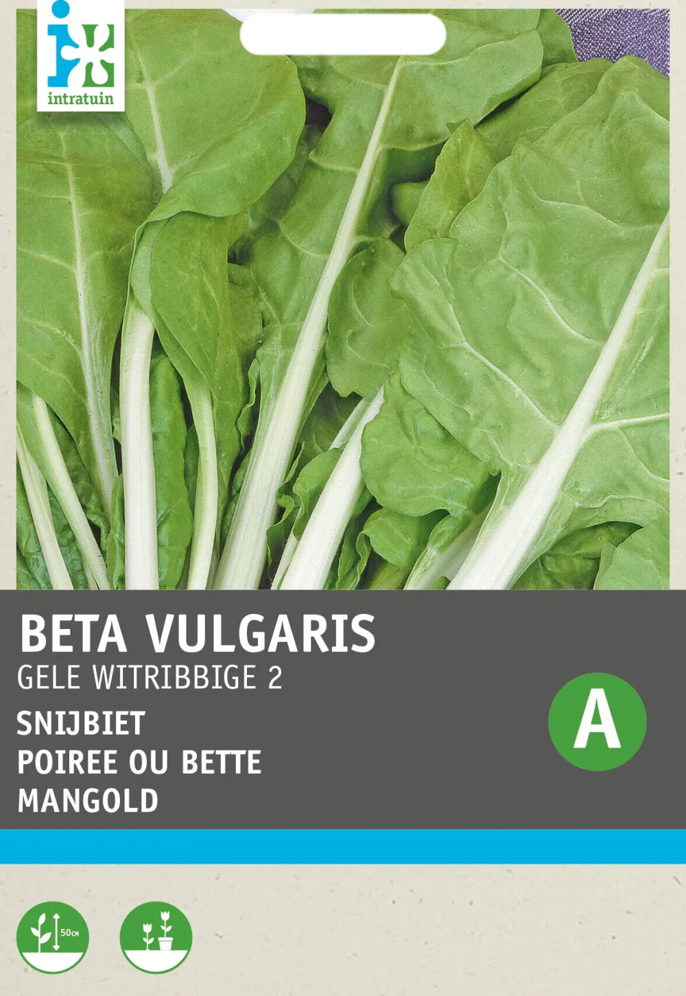 Hot Mangold (Beta vulgaris 'Gelber') Samen Gemüsesamen|Saatgut