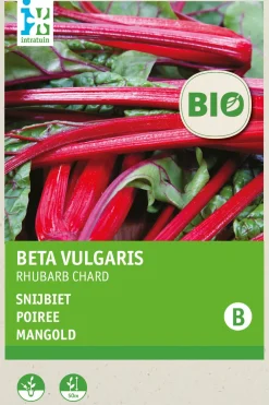 Online Mangold (Beta vulgares 'Rhubard Chard') (BIO) Samen Gemüsesamen|Saatgut