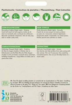 New Mangold (Beta vulgares 'Bright Lights') Samen Gemüsesamen|Saatgut