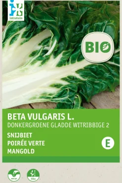 Mangold (Beta vulgaris 'White Silver') (BIO) Samen Gemüsesamen|Saatgut