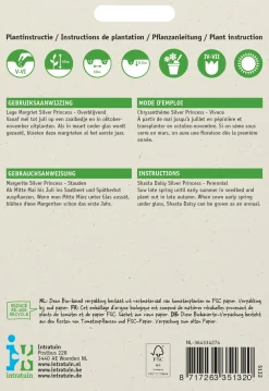 Best Margerite (Chrysanthemum maximum nanum 'Silver Princess') Blumensamen Winterharte Pflanzen|Blühende Pflanzen