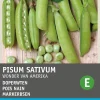 Markerbsen (Pisum Sativum 'Wonder van Amerika') Samen Gemüsesamen|Saatgut