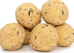 Best Meisenknödel ohne Netz 6 St. Vogelfutter|Gartenvögel