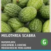 Clearance Mexikanische Mini-Gurke (Cucamelon) Samen Obstsamen|Saatgut