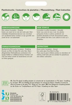Clearance Mexikanische Mini-Gurke (Cucamelon) Samen Obstsamen|Saatgut