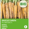 Sale Möhre (Daucus carota 'Yellowstone') (BIO) Samen Gemüsesamen|Saatgut