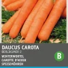 Discount Möhren (Daucus carota 'Rote Stumpfe') Samen Gemüsesamen|Saatgut