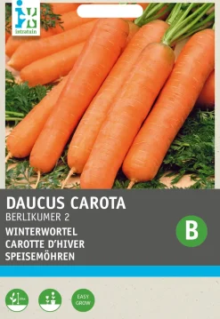 Discount Möhren (Daucus carota 'Rote Stumpfe') Samen Gemüsesamen|Saatgut