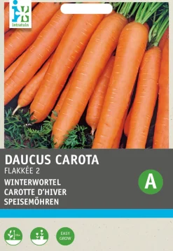 Outlet Möhren (Daucus carota 'Rote Riesen') Samen Gemüsesamen|Saatgut