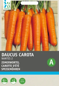 Discount Möhren (Daucus carota 'Nantaise') Samen Gemüsesamen|Saatgut