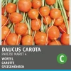 Best Möhren rund (Daucus carota 'Pariser Markt') Samen Gemüsesamen|Saatgut