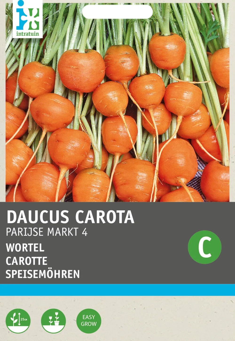 Best Möhren rund (Daucus carota 'Pariser Markt') Samen Gemüsesamen|Saatgut
