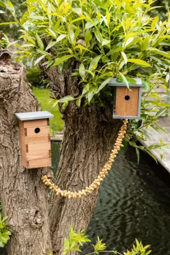 New Nistkasten für Sperling/Spatz 17 x 15 x 29,3 cm Gartenvögel|Vogelhäuser & Nistkästen