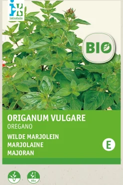 Discount Oregano (Origanum vulgare) (BIO) Samen Kräutersamen|Saatgut