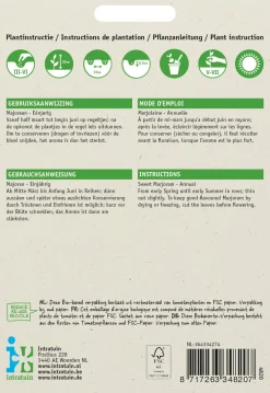 Online Oregano (Origanum majorana) Samen Kräutersamen|Saatgut