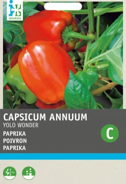 Outlet Paprika (Capsicum annuum 'Yolo Wonder') Samen Gemüsesamen|Saatgut