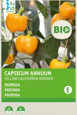 Outlet Paprika (Capsicum annuum 'Yellow California Wonder') (BIO) Samen Gemüsesamen|Saatgut