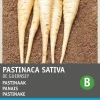 Discount Pastinake (Pastinaca sativa 'Von Guernsey') Samen Gemüsesamen|Saatgut