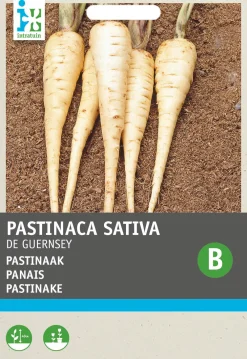Discount Pastinake (Pastinaca sativa 'Von Guernsey') Samen Gemüsesamen|Saatgut
