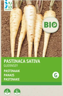 Clearance Pastinake (Pastinaca sativa) (BIO) Samen Gemüsesamen|Saatgut