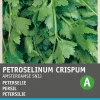 Online Petersilie glatt (Petroselinum Crispum 'Einfach Schnitt') Samen Kräutersamen|Saatgut