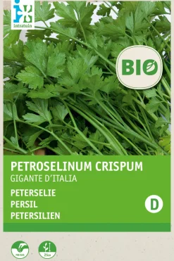 Hot Petersilie glatt (Petroselinum crispum 'Gigante d'Italia') (BIO) Samen Kräutersamen|Saatgut
