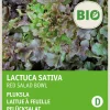 New Pflücksalat (Lactuca sativa 'Roter Eichenblatt') (BIO) Samen Gemüsesamen|Saatgut