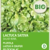Best Pflücksalat (Lactuca sativa 'Salad Bowl') (BIO) Samen Gemüsesamen|Saatgut