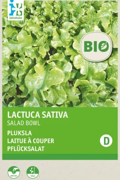 Best Pflücksalat (Lactuca sativa 'Salad Bowl') (BIO) Samen Gemüsesamen|Saatgut