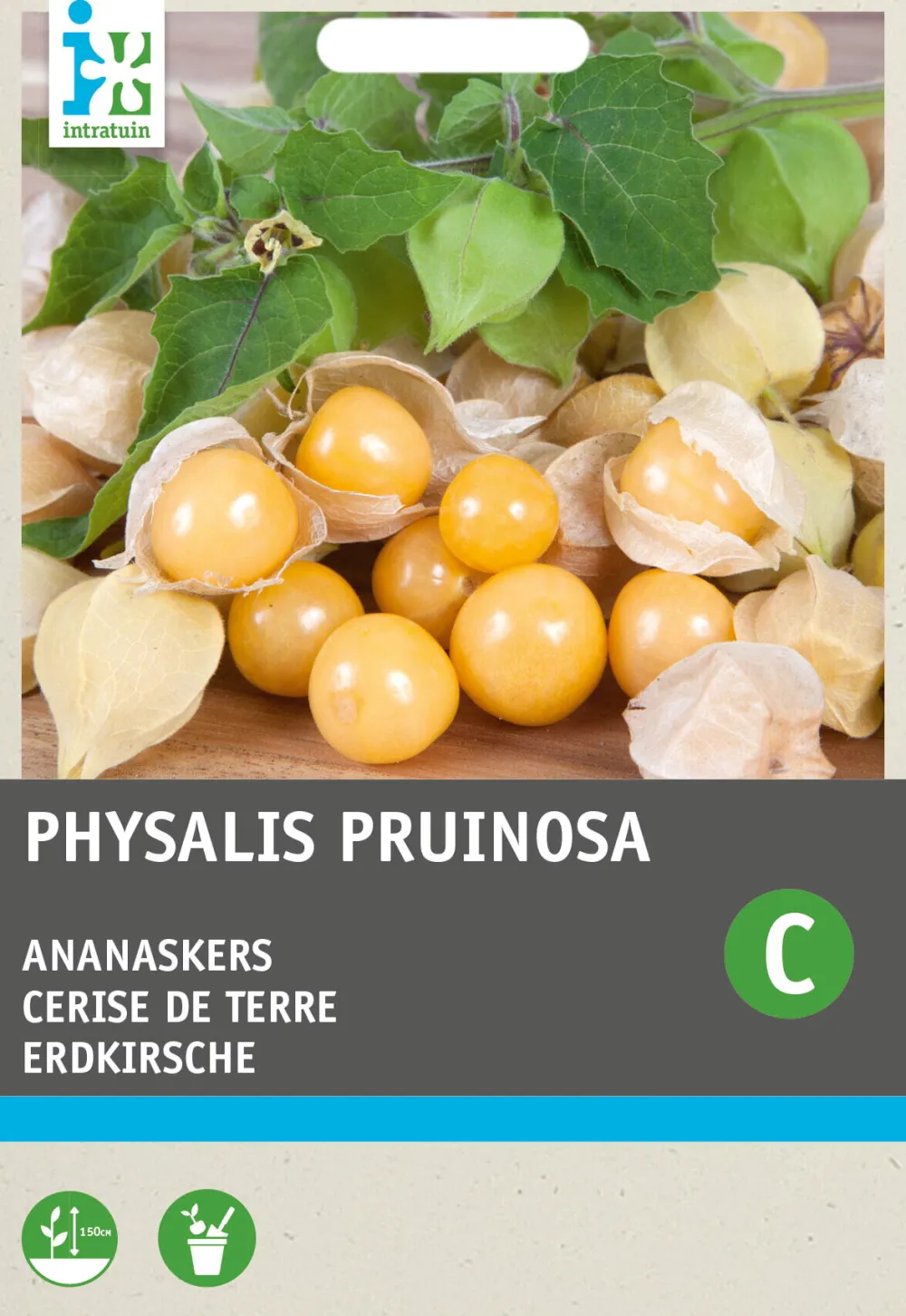 Physalis / Erdkirsche (Physalis pruinosa) Samen Gemüsesamen|Saatgut