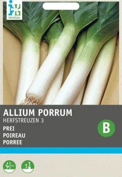 Porree (Allium porrum 'Herbstriesen') Samen Gemüsesamen|Saatgut