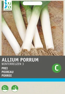 Sale Porree (Allium porrum 'Winterriesen') Samen Gemüsesamen|Saatgut
