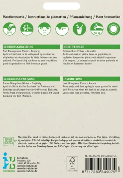 New Porree (Allium porrum 'Blaugrüner Winter') Samen Gemüsesamen|Saatgut