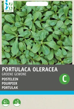 Discount Portulak (Portulaca oleracea 'Grüner') Samen Gemüsesamen|Saatgut