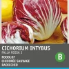 Radicchio (Cichorium intybus 'Pallo Rossa di Chioggia') Samen Gemüsesamen|Saatgut