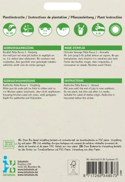 Radicchio (Cichorium intybus 'Pallo Rossa di Chioggia') Samen Gemüsesamen|Saatgut