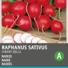 Discount Radieschen (Raphanus sativus 'Cherry Belle') Samen Gemüsesamen|Saatgut